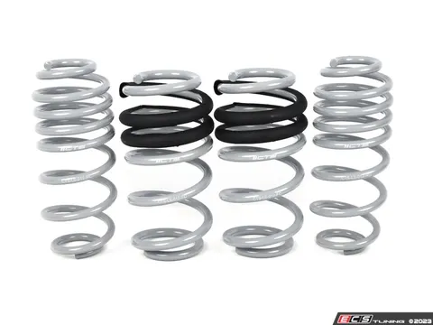CTS CTS Lowering Spring Set - B8/B8.5 A4/S4