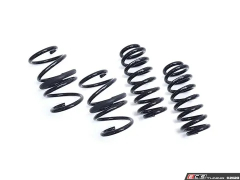 Neuspeed Lowering Springs Kit - Sport