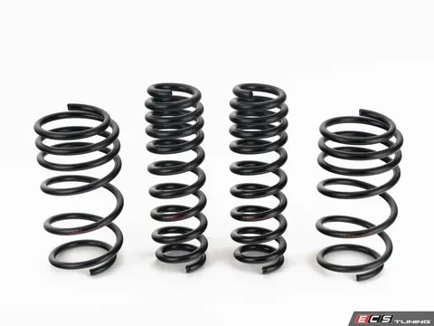ECS G20/G42 Lowering Springs