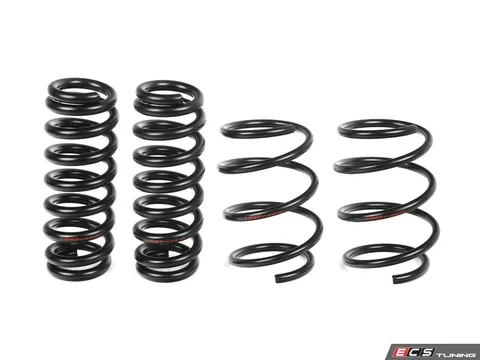 ECS F80 M3 Lowering Springs