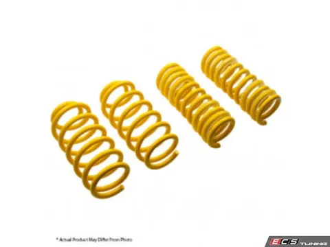 Suspension Techniques Lowering Spring Set