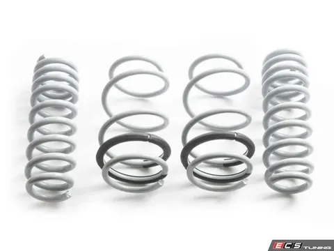CTS Lowering Spring Set