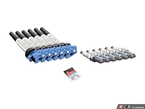 Dinan Performance Ignition Service Kit
