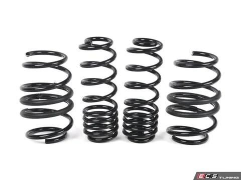 Neuspeed Lowering Springs Kit - Sport