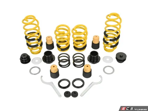 Suspension Techniques ST Adjustable Lowering Springs
