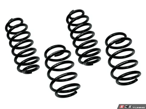 Neuspeed Lowering Springs Kit | SofSport