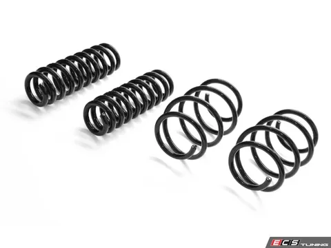 MMX Performance MMR Lowering Springs