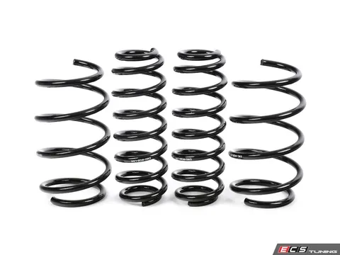 Emmanuele Design EMD Auto Lowering Spring Kit