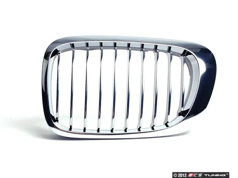 Genuine BMW Kidney Grille - Left