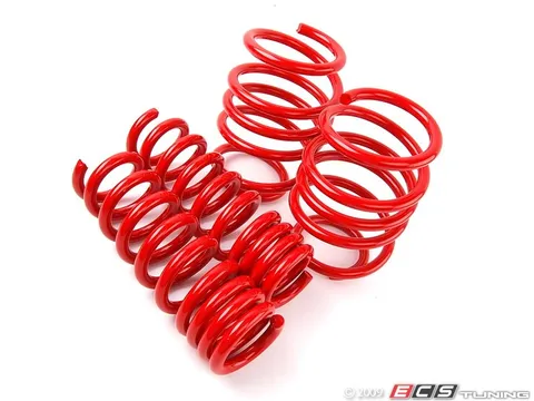 H&R Race Spring Set