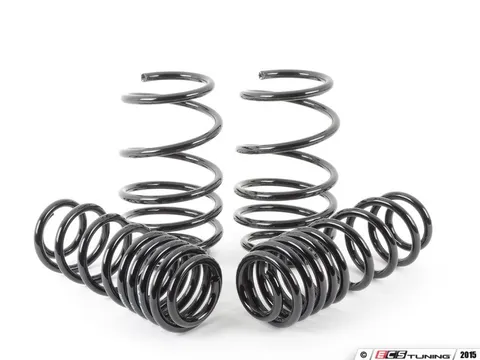 Neuspeed Race Springs Set