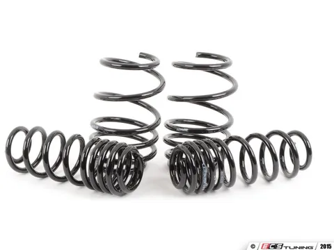 Neuspeed Sport Springs Set