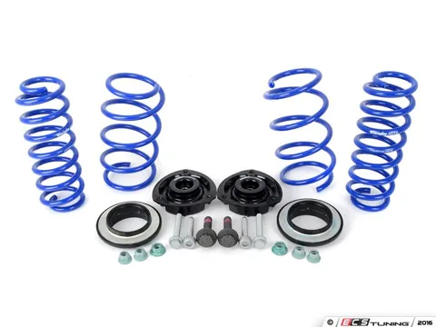 Assembled By ECS VWR Sport Springs - With ECS Heavy Duty Strut Mounts & Install Kit
