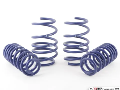 H&R OE Sport Spring Set