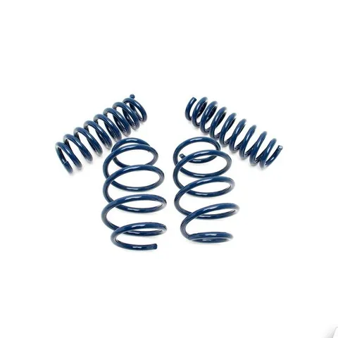 Dinan Performance Spring Set