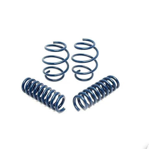 Dinan Performance Spring Set