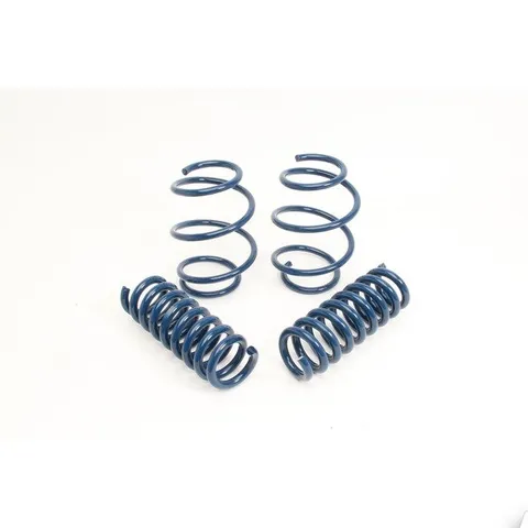 Dinan Performance Spring Set