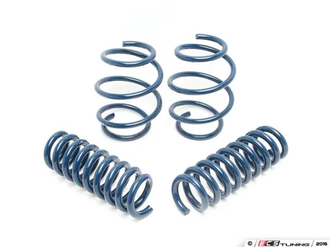 Dinan Performance Spring Set