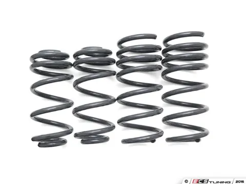 034Motorsport Dynamic+ Performance Lowering Springs