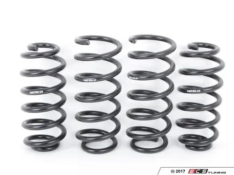 Emmanuele Design EMD Auto Lowering Spring Kit