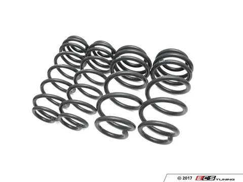 034Motorsport Dynamic+ Performance Lowering Springs
