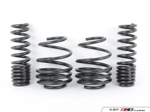 Swift Swift Springs - F8X M3 1"F 0.4"R