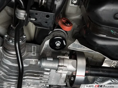 ECS Rear Differential Mount Insert Kit (1 Insert) - Front Position