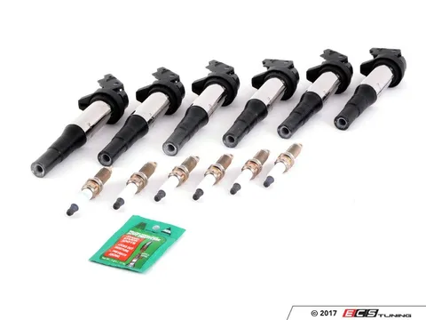 Assembled By ECS Ignition Service Kit